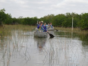 The group leaves the open water of the pond and enters the Mangroves.