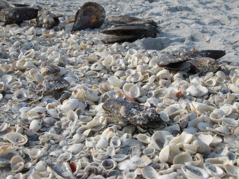 This beach is known for its sugar white sand and beautiful shells.