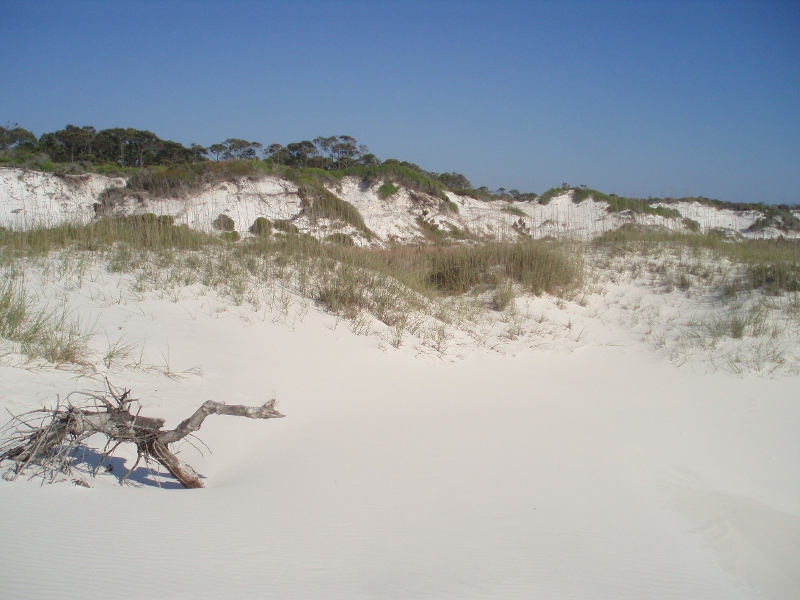 As we walk the beach the dunes get bigger...